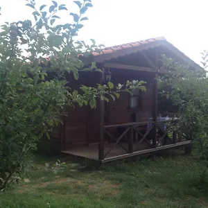 Konukevi Salkim Konak Ve Agac Evler, Selçuk