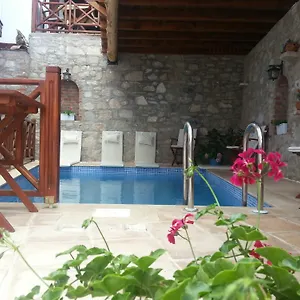 3* Gasthuis Amazon Petite Palace